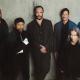 dmb5