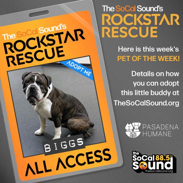 KCSN RockstarRescue PotW BIGGS081625 2 1080x1081
