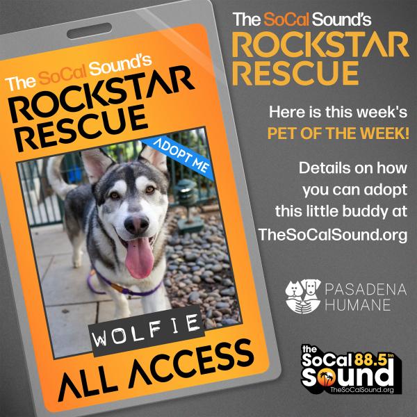 KCSN RockstarRescue WOLFIE 8.30 073025 2 1080x1080