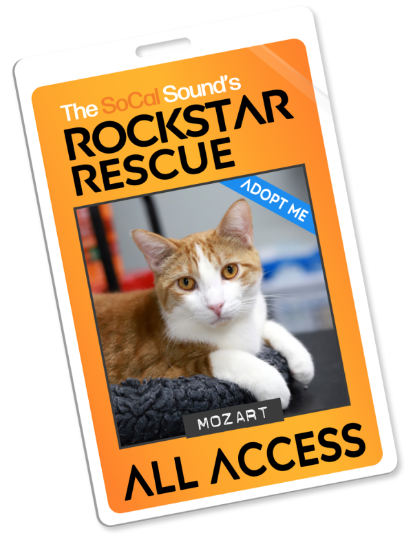 KCSN RockstarRescue PotW 011426 Pass