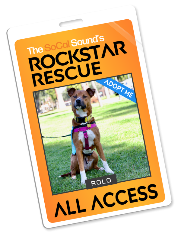 KCSN RockstarRescue PotW 021826 Pass