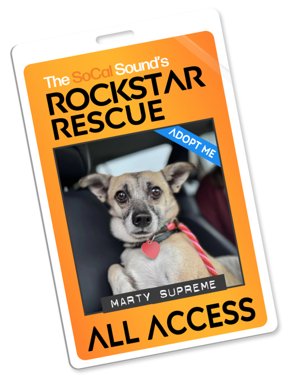 KCSN RockstarRescue PotW 031126 Pass