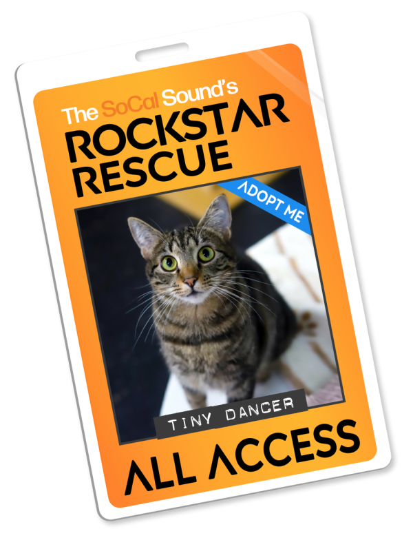 KCSN RockstarRescue PotW 040126 Pass