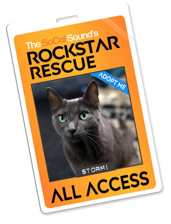 KCSN RockstarRescue PotW 042926 Pass