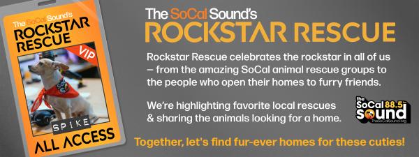 KCSN RockstarRescue General 071525 9 1920x720