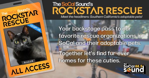 KCSN RockstarRescue PotW 042226 CreateOutlines FACEBOOK 1200x630