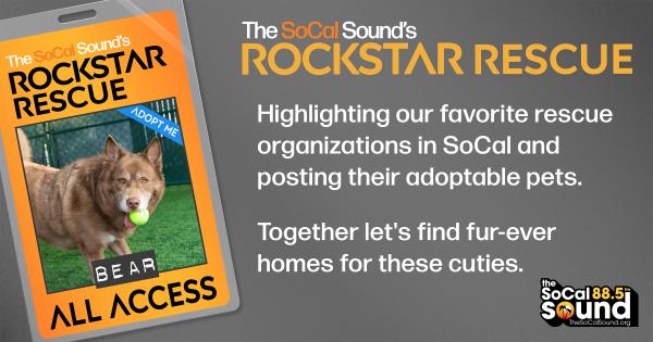 KCSN RockstarRescue PotW 082625 1 1200x630