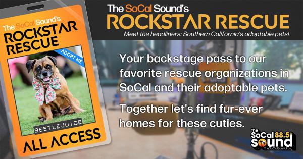 KCSN RockstarRescue PotW 092425 1 1200x631