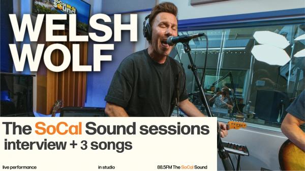 WELSH WOLF FULL SESSION THUMB 100