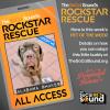 09.03: PET OF THE WEEK - ALABAMA SHAKES!
