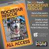 07.30: PET OF THE WEEK - WOLFIE!